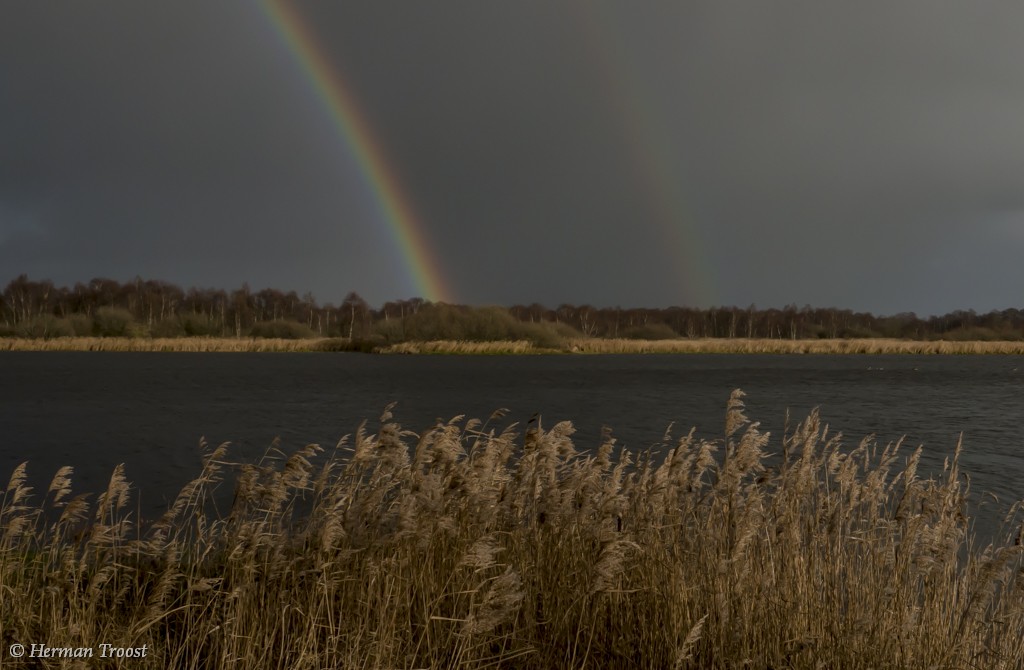 http://www.hermantroost.nl