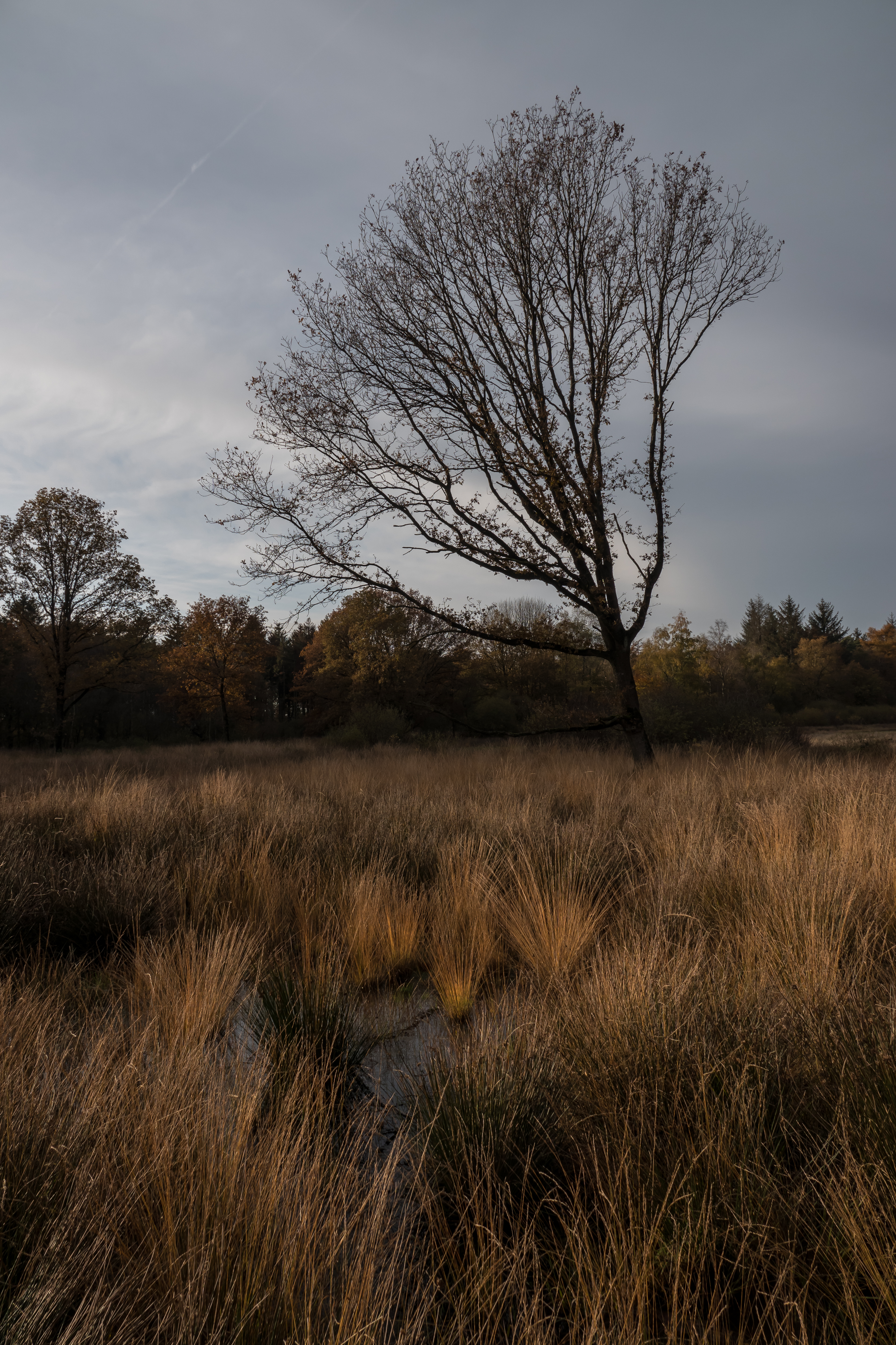 20191114-HT-141119249