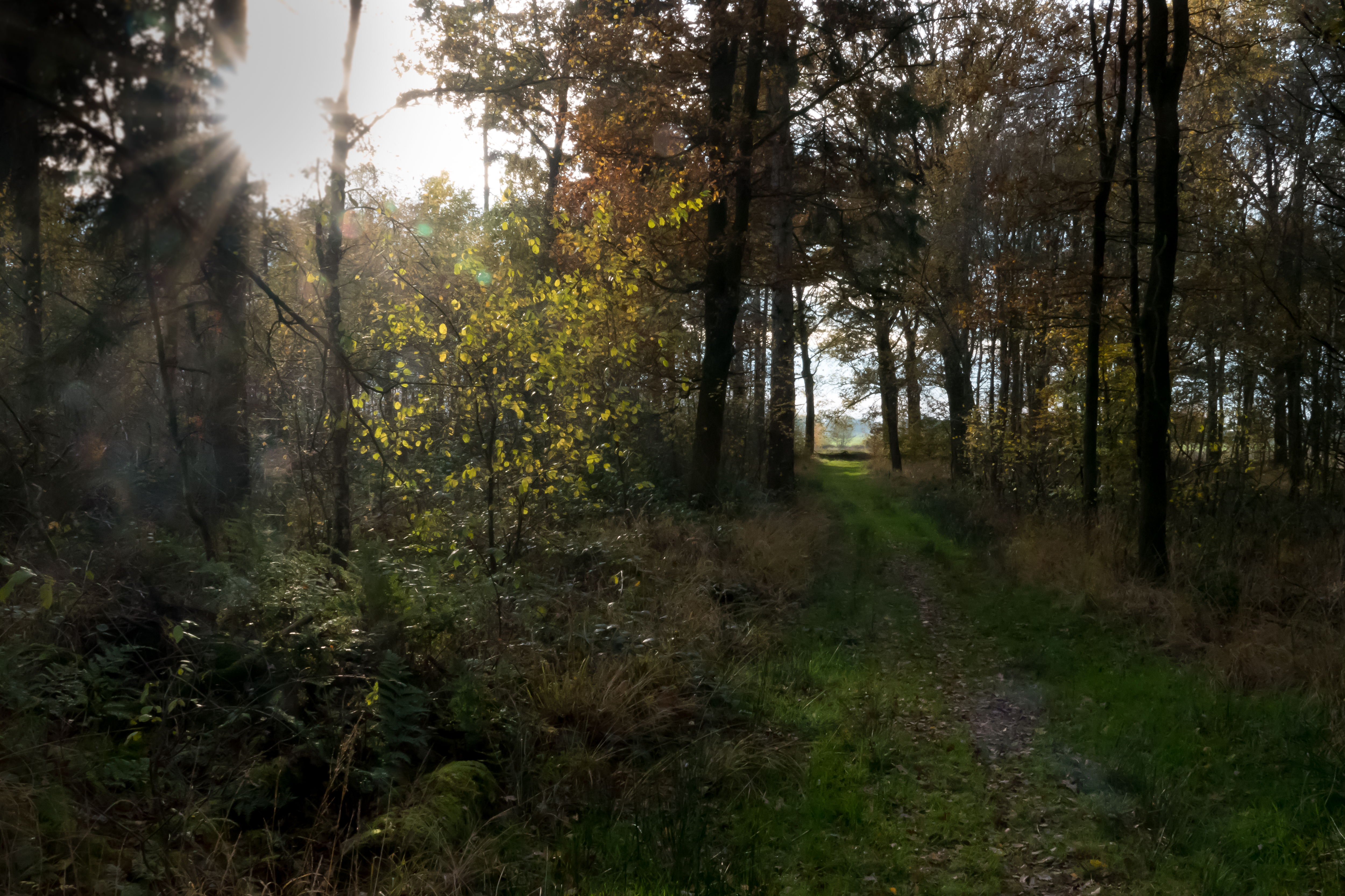 20191114-HT-141119265